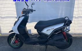 OTHER BWS125