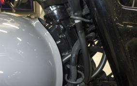 KAWASAKI W800-2ｽﾄﾘｰﾄ 2023 EJ800E