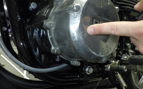 KAWASAKI Z900 2026 Z1F