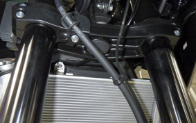 KAWASAKI VERSYS A 2025 LE650H