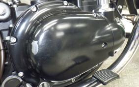 KAWASAKI W800 CAFE 2020 EJ800B