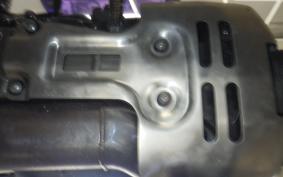 OTHER +HD. ﾊﾟﾝ AMERICA1250S 2022
