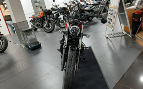 HARLEY HARLEY RH975 NIGHT  STAR 2023 ZH1