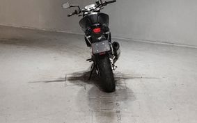 KTM 690 DUKE 2013 LDW40