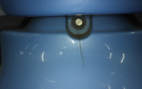 HONDA CREA SCOOPY 2026 AF55