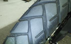 BMW G310GS 2024