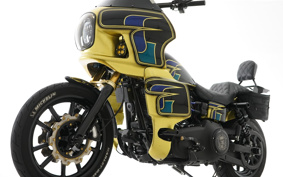HARLEY FXDLS 2016 GS8