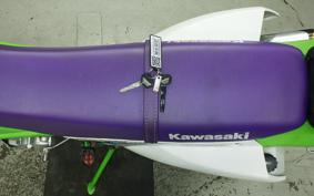 KAWASAKI KLX250 Gen.2 LX250S