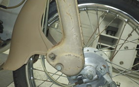 HONDA C100 SUPER CUB 2024 C100