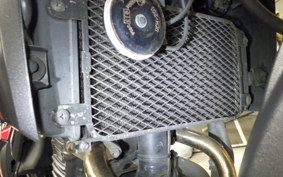 SUZUKI V-STROM 250