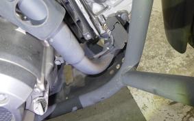 HONDA CT125 HUNTER CUB 2025 JA55