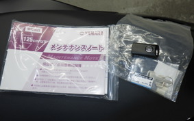 YAMAHA NMAX-3 SEL1J