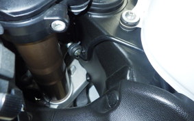SUZUKI HAYABUSA Gen.2 2009