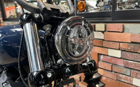 HARLEY FXBB 2018 YJJ