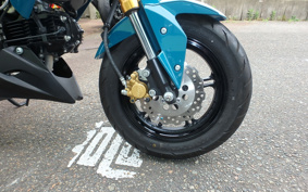 KAWASAKI Z125 PRO BR125H