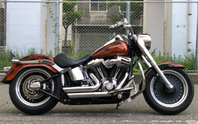 HARLEY FLSTF 2011 BX5