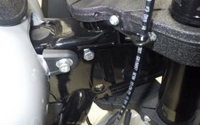 HARLEY FXLRST1920 2025