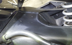 YAMAHA FZ1 FAZER 2016 RN21J