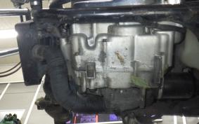 HONDA STEED 400 2025 NC26