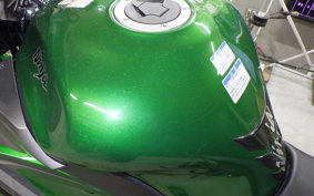 KAWASAKI NINJA 1000 A 2020 ZXT00W