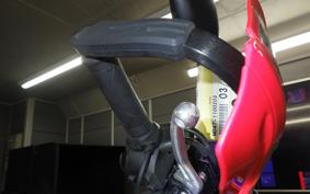 HONDA CRF250L 2009 MD47