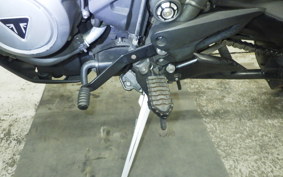 TRIUMPH TIGER 800 XR T 2019