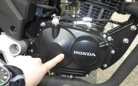 HONDA CBF125R 1981