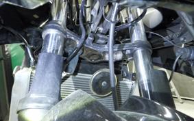 KAWASAKI NINJA 250R 2021 EX250K