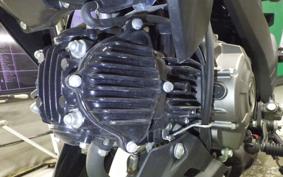 KAWASAKI Z125 PRO BR125H