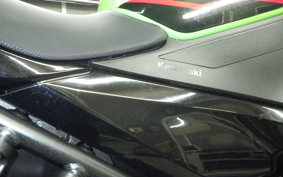 KAWASAKI NINJA 400 2022 EX400G