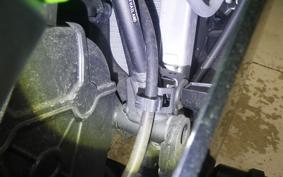 KAWASAKI NINJA 250 2021 EX250P