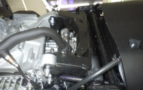 YAMAHA CYGNUSｸﾞﾘﾌｧｽ SEJ4J