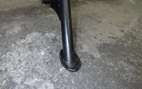 KAWASAKI Z250 Gen.2 2025 EX250P