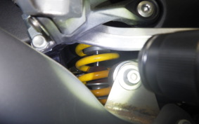 KAWASAKI ZX 1400 NINJA R A 2021