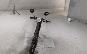 OTHER  BLAZE  SMART EV BLAZE