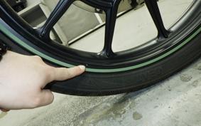 OTHER +ENFIELD ﾒﾃｵ350 2024