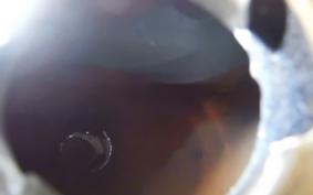 HARLEY FXS 1340 2021