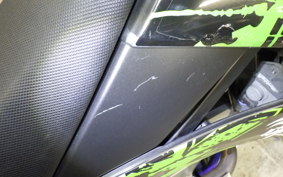 KAWASAKI KLX250D TRACKER X 2024 LX250V