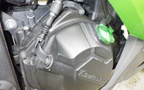 KAWASAKI NINJA 250 2026 EX250L