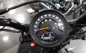 HARLEY HARLEY RH975 NIGHT  STAR 2023 ZH1