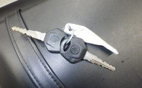 YAMAHA MT-25 A 2016 RG74J