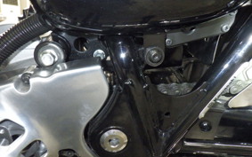KAWASAKI W800 2025 EJ800E