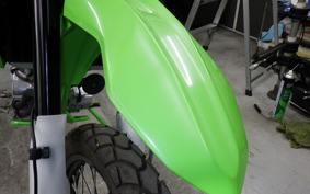 KAWASAKI KLX250 Gen.2 2023 LX250S
