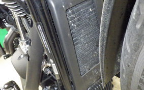 HARLEY FXBBS1870 2021