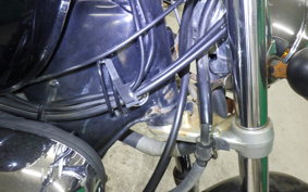 YAMAHA VIRAGO 250 2003 3DM