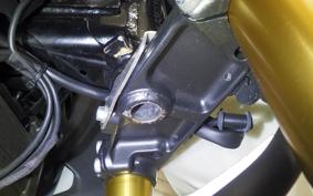 HONDA GROM 2022