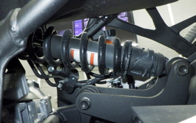 KAWASAKI ZX-4R SE 2023 ZX400P