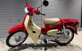 HONDA SUPER CUB50 AA09