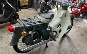 HONDA SUPER CUB50 C50