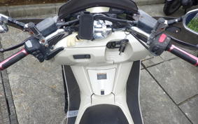 YAMAHA MAXAM 250 SG21J